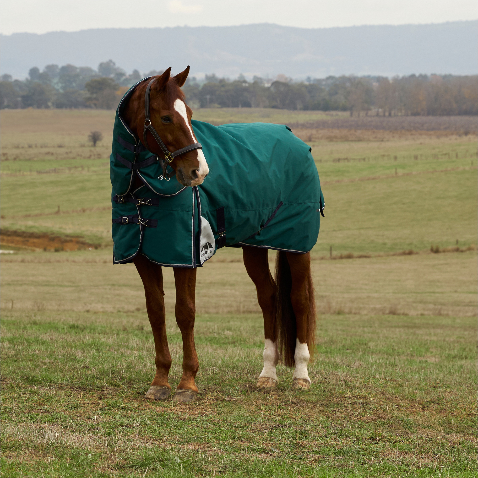 2025 Weatherbeeta Comfitec Plus Dynamic Turnout Detach - A - Neck 1029004 - Forest Green